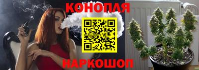 сатива Лесосибирск