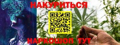 сатива Лесосибирск