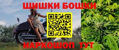 сатива Лесосибирск