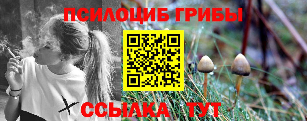 Галлюциногенные грибы мухоморы  Вход с VPN  Гудермес 